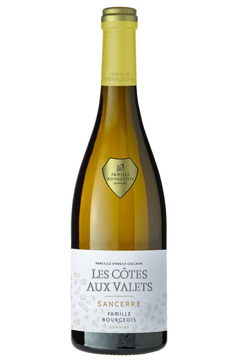 Domaine Famille Bourgeois Sancerre Blanc 